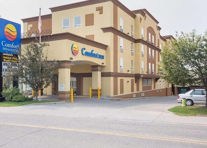 Comfort Inn & Suites University
